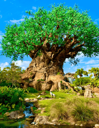 Disney's Animal Kingdom