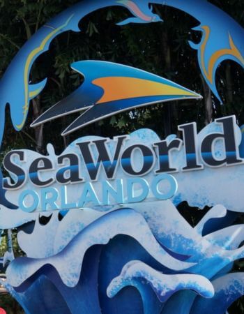 SeaWorld Orlando entrance sign under a clear blue sky, inviting visitors to explore marine life, thrilling rides, and captivating shows at the theme park in Orlando, Florida.